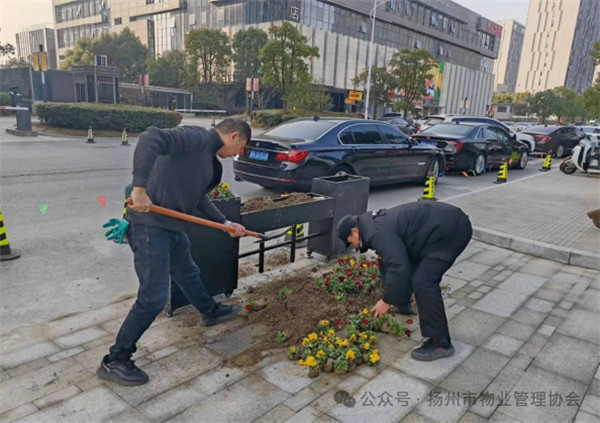 物业园区管理做什么的(物业园区管理做什么的啊)