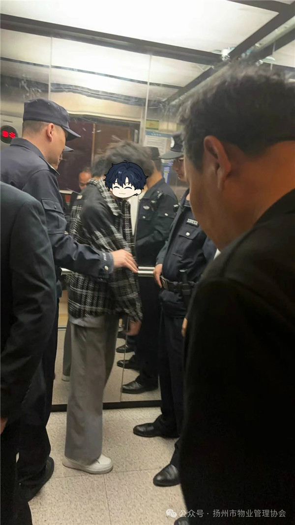 8.1
