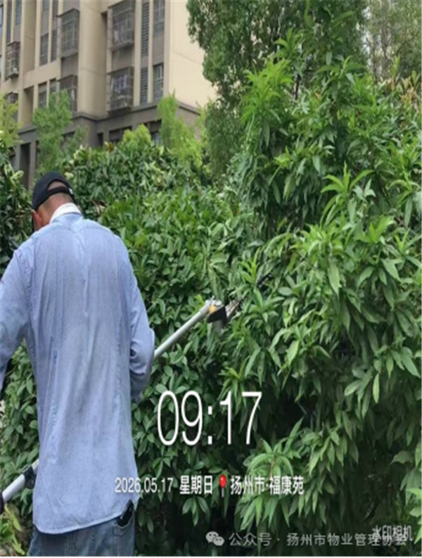 6.1