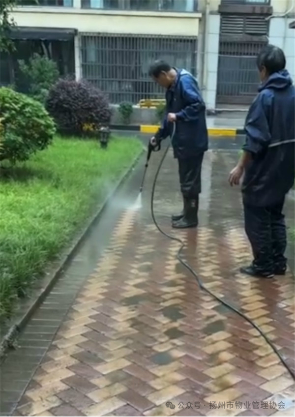 3.1