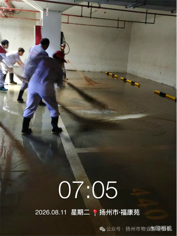 3.1