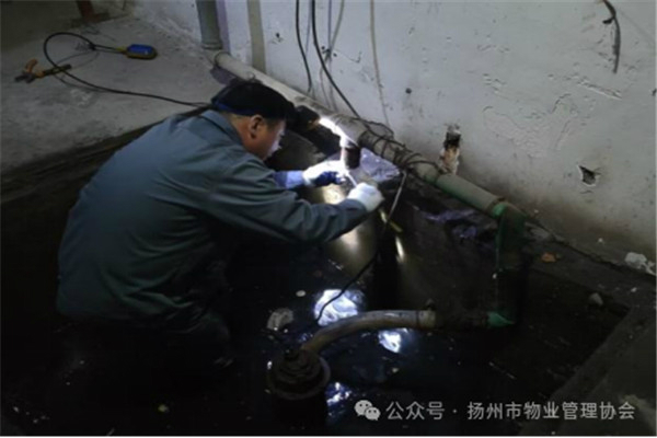 3.1